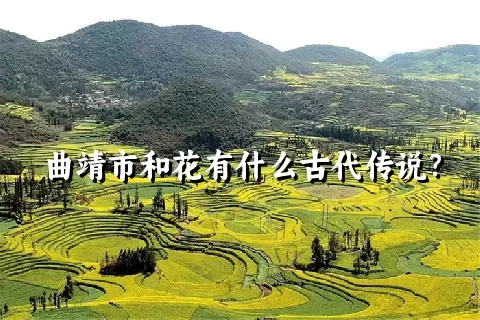 曲靖市和花有什么古代传说？