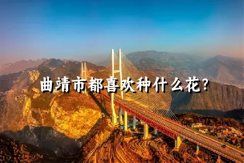 曲靖市都喜欢种什么花？