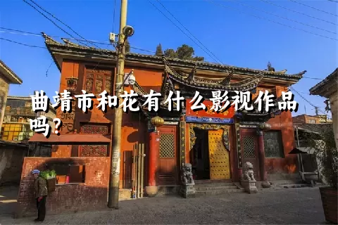 曲靖市和花有什么影视作品吗？