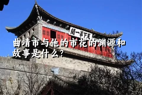 曲靖市与他的市花的渊源和故事是什么？