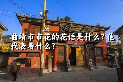 曲靖市市花的花语是什么？他代表着什么？