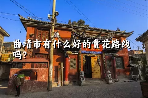 曲靖市有什么好的赏花路线吗？