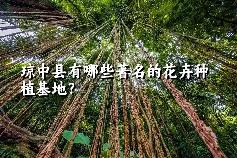 琼中县有哪些著名的花卉种植基地？