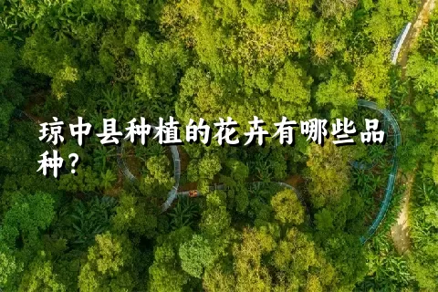 琼中县种植的花卉有哪些品种？