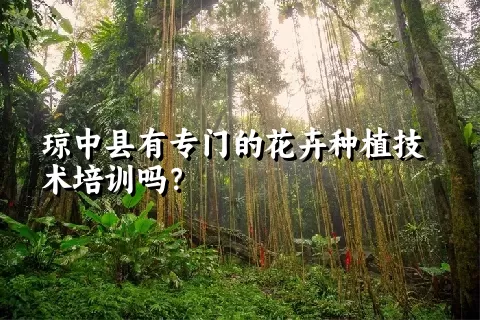 琼中县有专门的花卉种植技术培训吗？