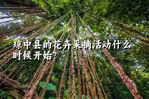 琼中县的花卉采摘活动什么时候开始？