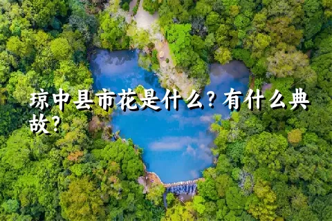 琼中县市花是什么？有什么典故？