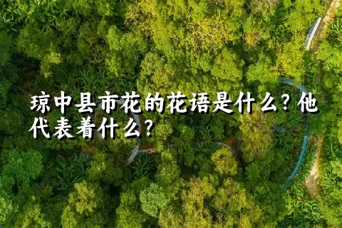 琼中县市花的花语是什么？他代表着什么？