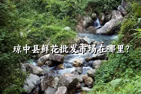 琼中县鲜花批发市场在哪里？