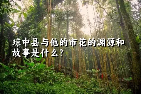 琼中县与他的市花的渊源和故事是什么？