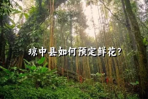 琼中县如何预定鲜花？