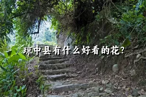 琼中县有什么好看的花？