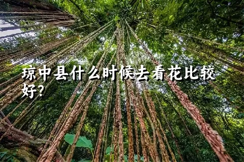 琼中县什么时候去看花比较好？