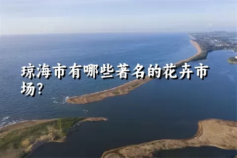 琼海市有哪些著名的花卉市场？