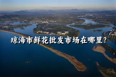 琼海市鲜花批发市场在哪里？