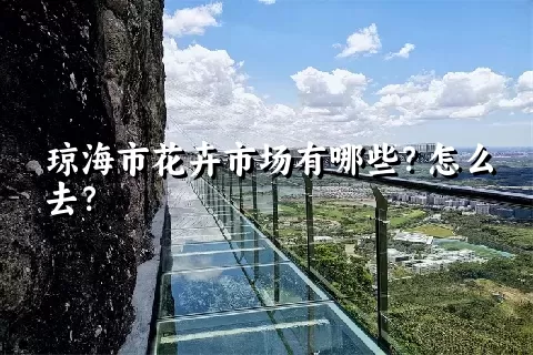 琼海市花卉市场有哪些？怎么去？