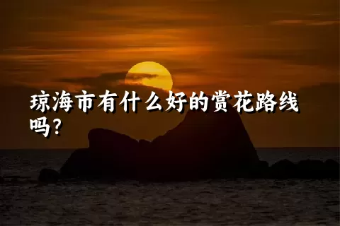 琼海市有什么好的赏花路线吗？