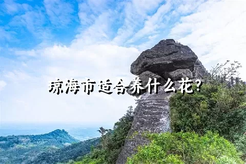 琼海市适合养什么花？