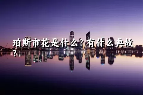 珀斯市花是什么？有什么典故？