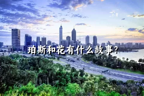 珀斯和花有什么故事？