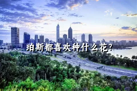 珀斯都喜欢种什么花？