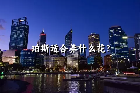 珀斯适合养什么花？