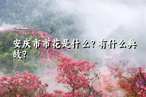 安庆市市花是什么？有什么典故？