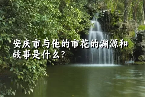 安庆市与他的市花的渊源和故事是什么？