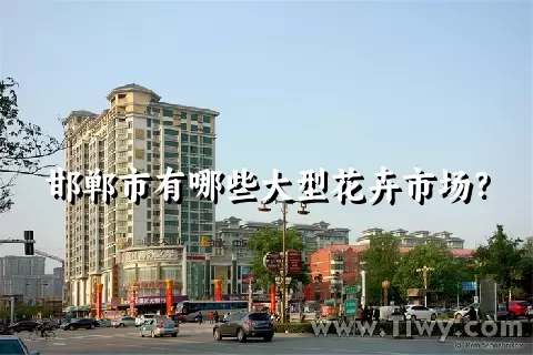 邯郸市有哪些大型花卉市场？