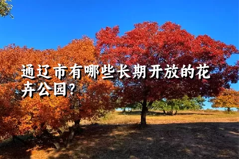 通辽市有哪些长期开放的花卉公园？