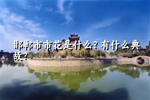 邯郸市市花是什么？有什么典故？