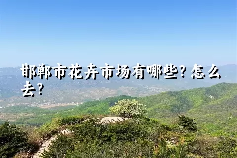 邯郸市花卉市场有哪些？怎么去？