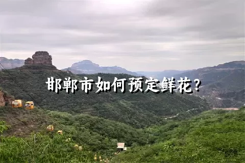 邯郸市如何预定鲜花？