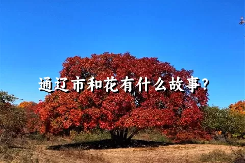 通辽市和花有什么故事？