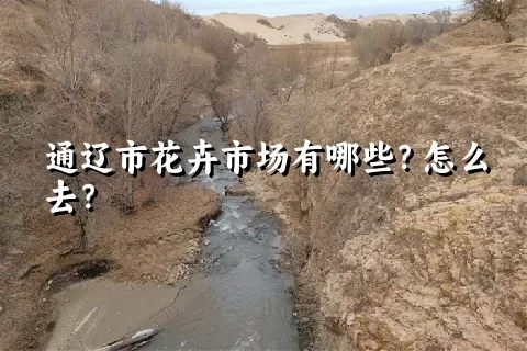 通辽市花卉市场有哪些？怎么去？