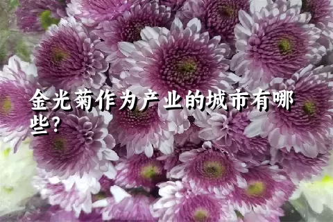 金光菊作为产业的城市有哪些？