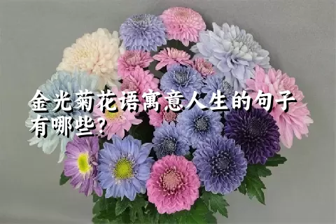 金光菊花语寓意人生的句子有哪些？