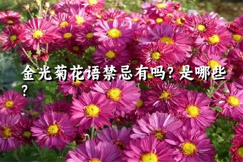 金光菊花语禁忌有吗？是哪些？