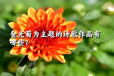 金光菊为主题的诗歌作品有哪些？