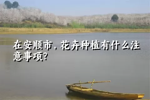 在安顺市，花卉种植有什么注意事项？