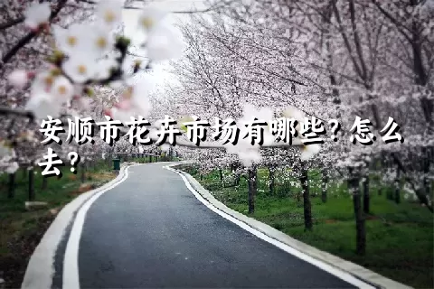 安顺市花卉市场有哪些？怎么去？