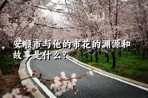 安顺市与他的市花的渊源和故事是什么？