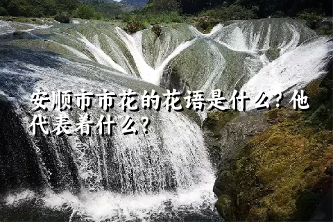 安顺市市花的花语是什么？他代表着什么？