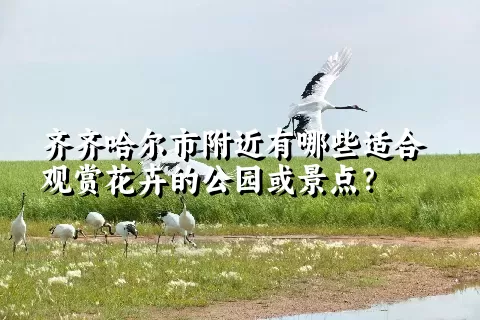 齐齐哈尔市附近有哪些适合观赏花卉的公园或景点？