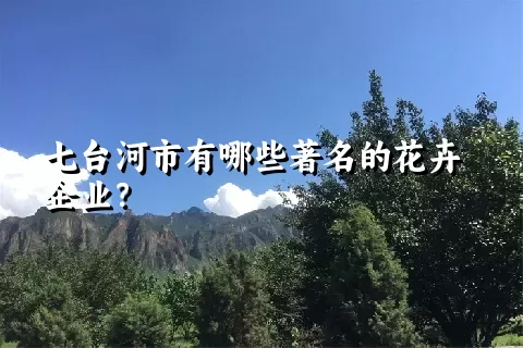 七台河市有哪些著名的花卉企业？