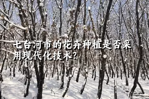 七台河市的花卉种植是否采用现代化技术？