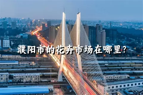 濮阳市的花卉市场在哪里？