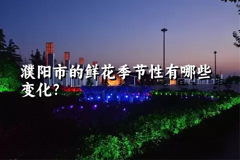 濮阳市的鲜花季节性有哪些变化？