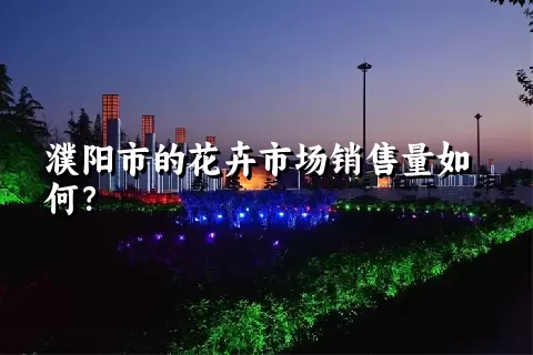 濮阳市的花卉市场销售量如何？