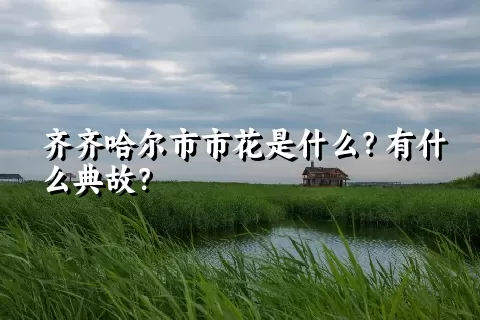 齐齐哈尔市市花是什么？有什么典故？